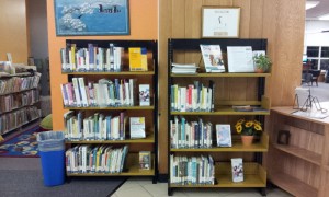 Section at the Mackenzie Library Branch